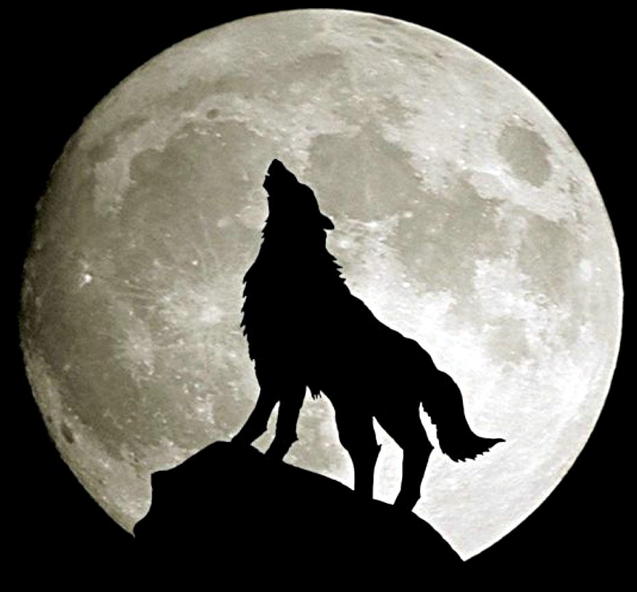 ULSEC – Cybersecurity